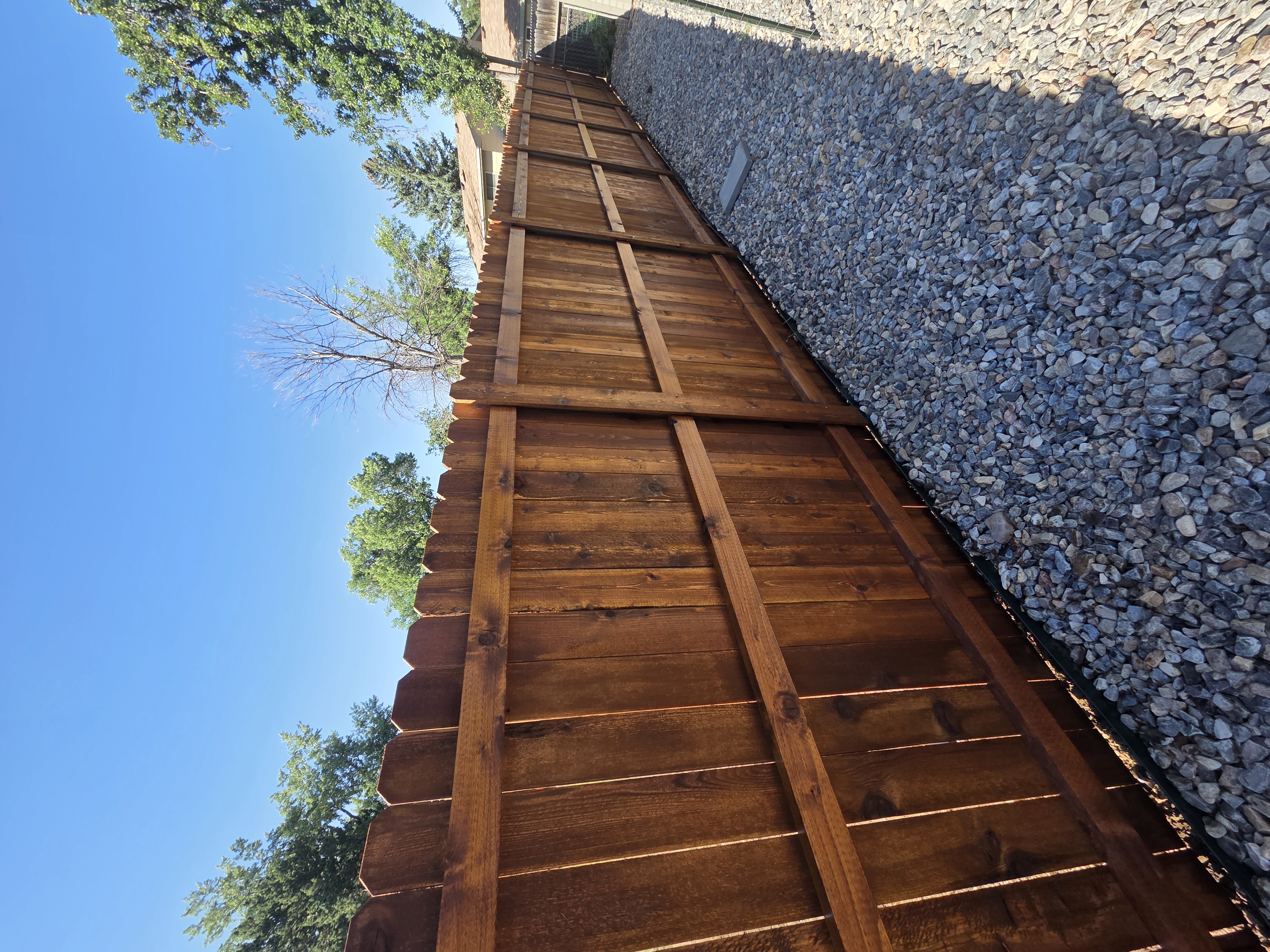 Freshly stained dark brown cedar privacy fence in a Northern Colorado backyard