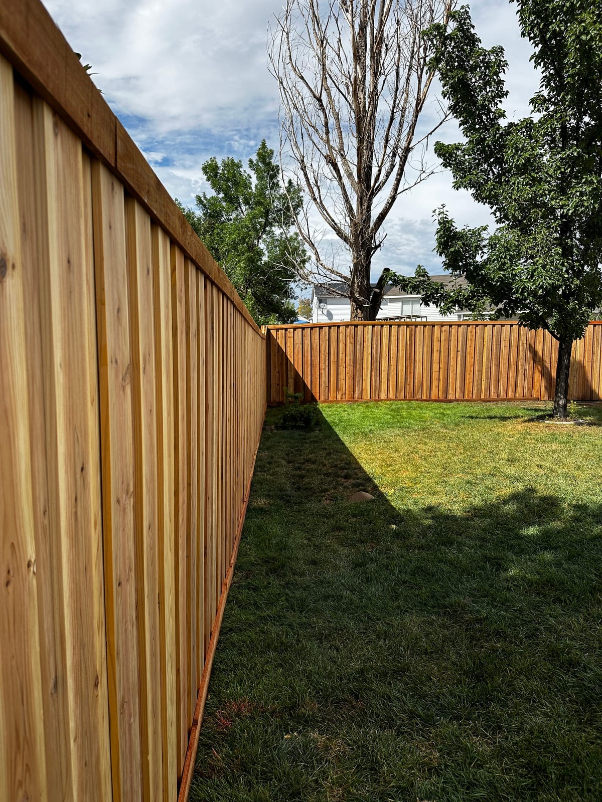 Board on board cedar fence with overlapping boards