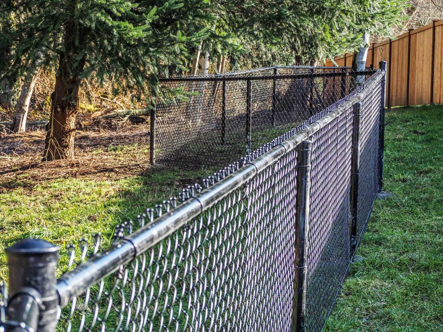 Galvanized chain link fence